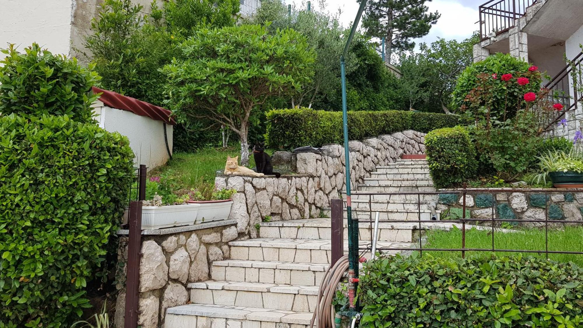 Apartmani Katica2 Crikvenica Zewnętrze zdjęcie